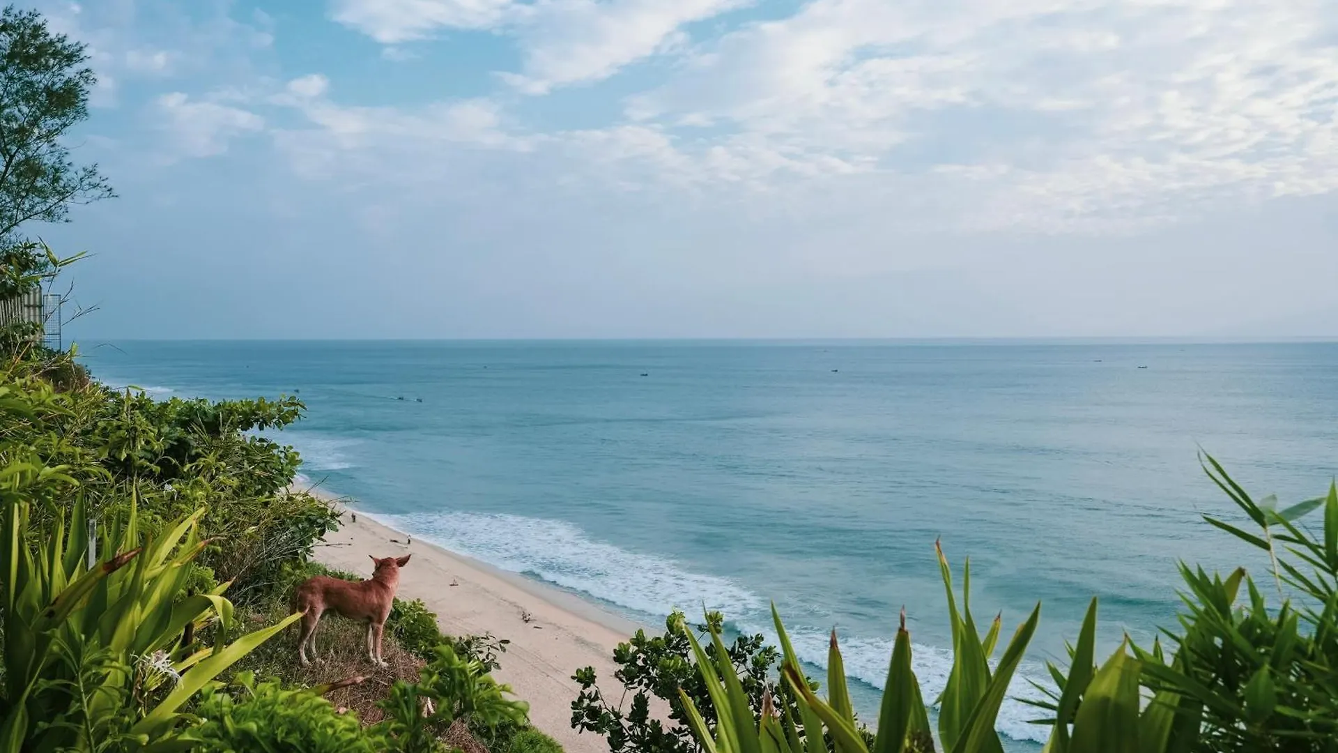 Nidra By Sarwaa Bed & Breakfast Varkala 0*,  India